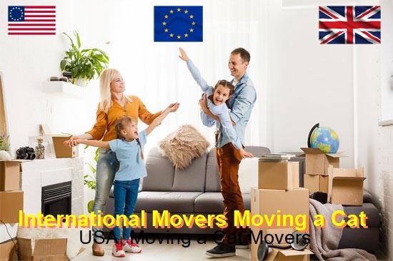 International movers handling a US bound shipment