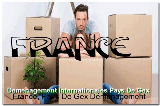 Moving company vehicle on the A40 approaching Pays de Gex from Calais