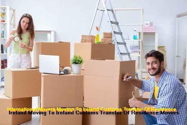 Customs inventory being prepared for Irish Revenue Transfer of Residence claim on Form C&E 1076