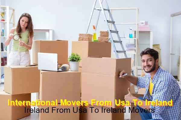 FIDI-certified international removal movers loading goods for Ireland